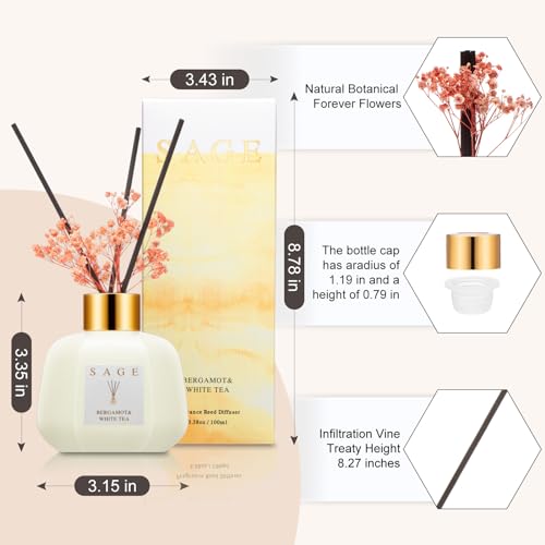 Reed Diffuser - Westin Inspired Bergamot White Tea | Preserved Flower Scent | 3.4oz Home Decor