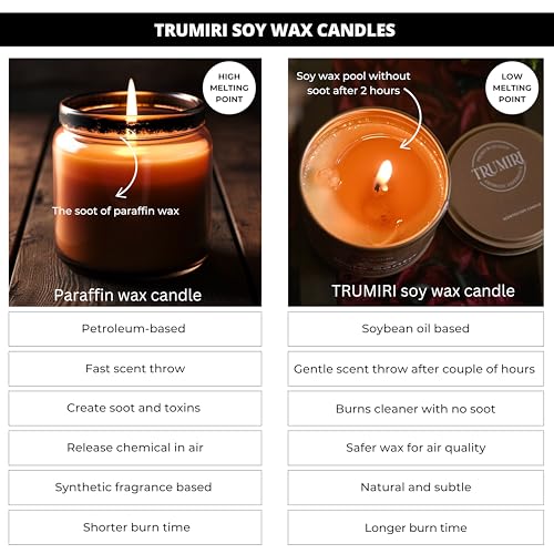 Pet-Friendly Pumpkin Spice Cinnamon Soy Candles, 5oz Natural Fall Fragrance