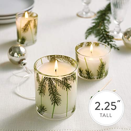 Thymes Siberian Fir Pine Needle Candle Set